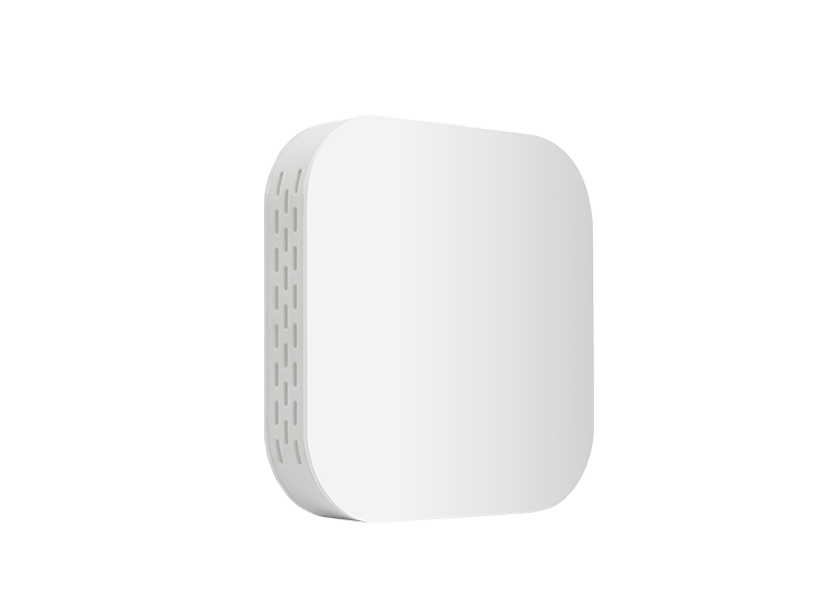 多參數(shù)環(huán)境檢測儀BM5011-OU